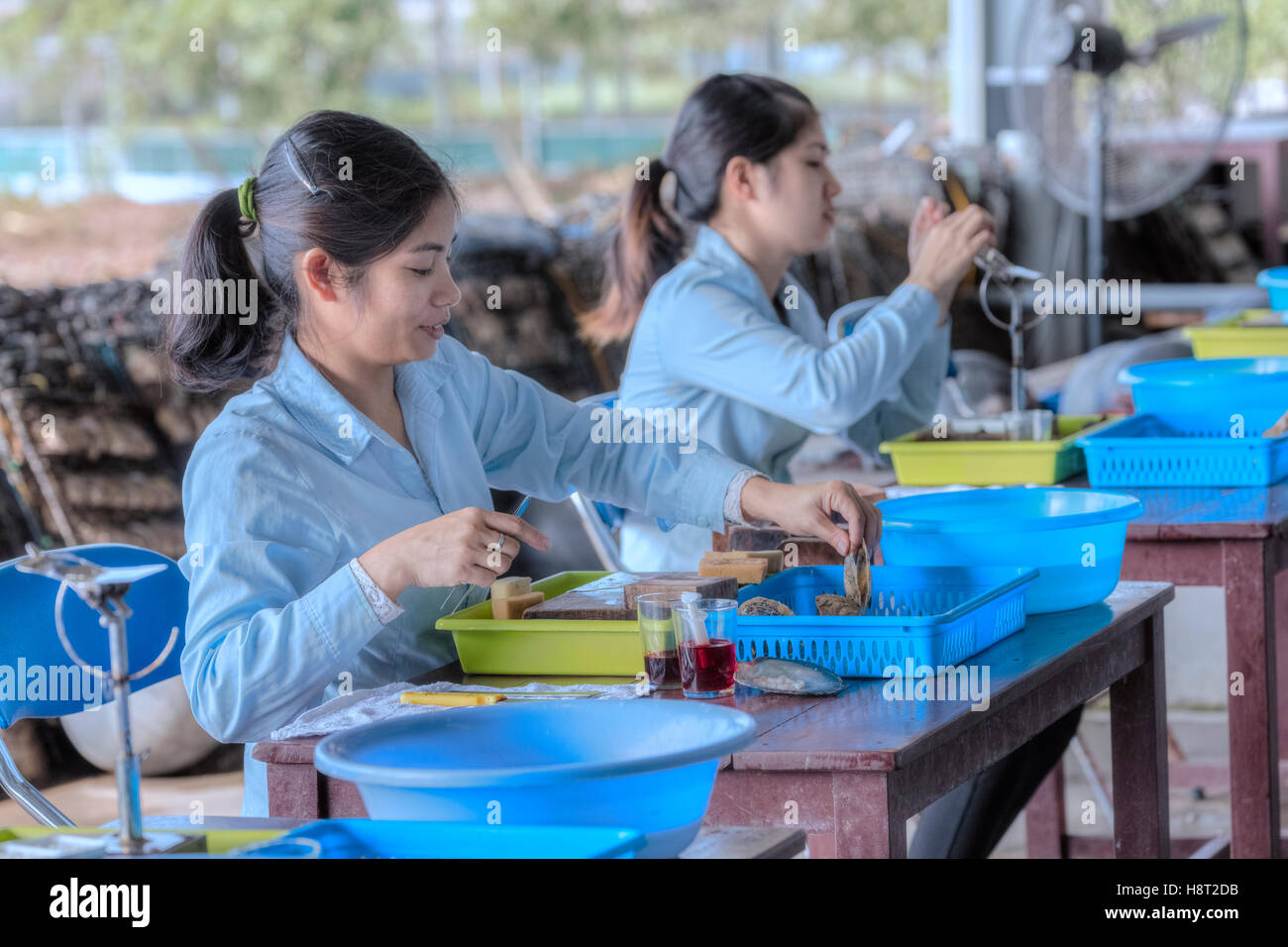 Las niñas vietnamitas trabajan en una granja de perlas en la Bahía de Halong, Vietnam, Indochina, Asia Foto de stock