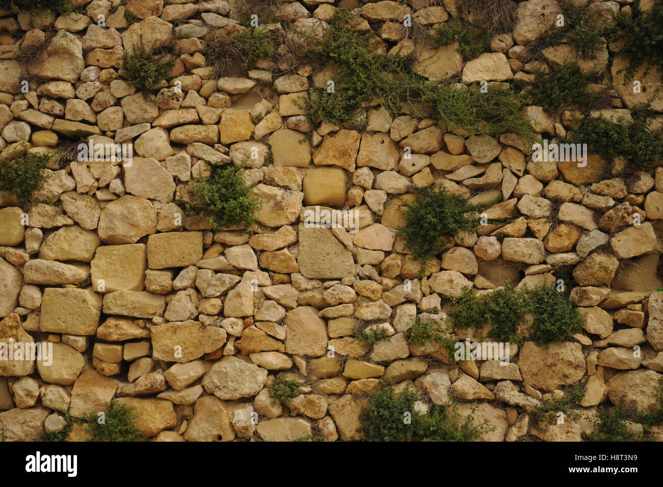 Muro de piedra amarilla en Gozo, Malta Foto de stock