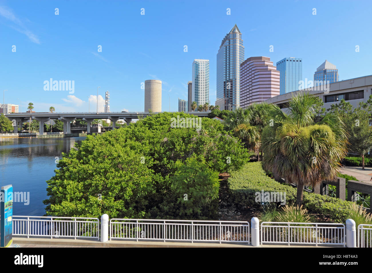 Tampa, Florida horizonte parcial con Riverwalk Park y edificios comerciales Foto de stock