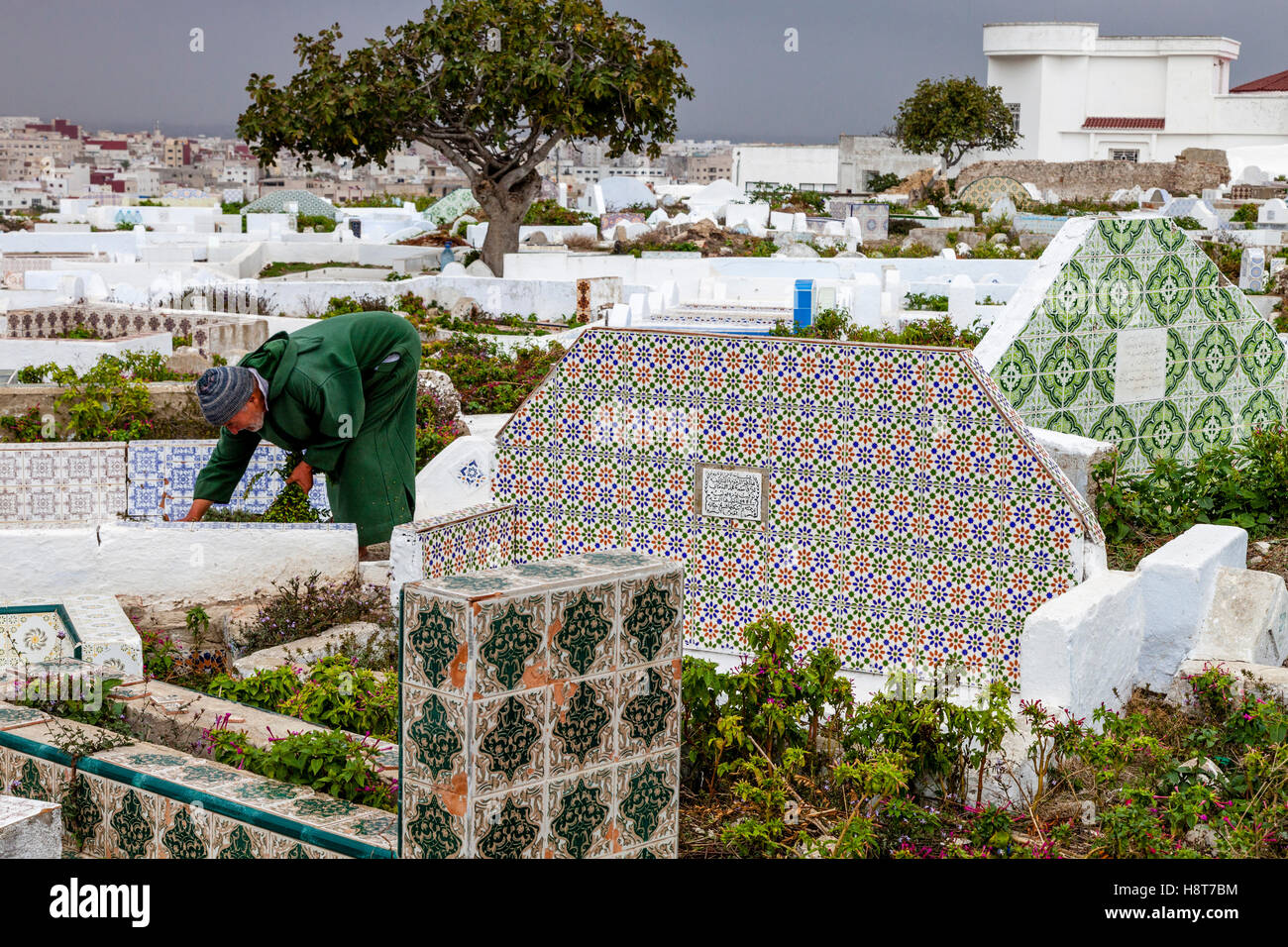 Un hombre Local tendiendo una tumba en el cementerio musulmán, Tetuán, Marruecos Foto de stock