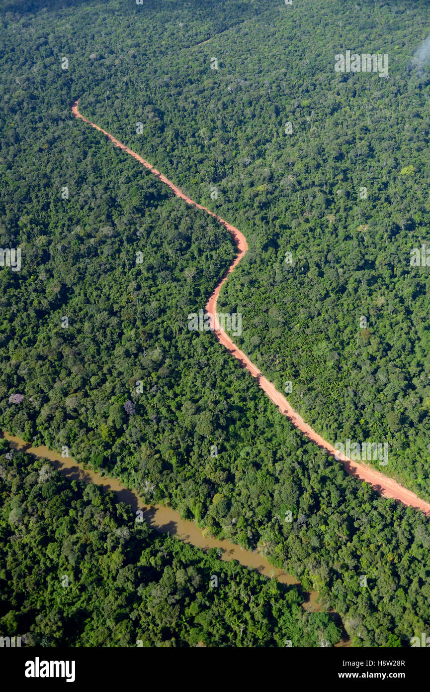 Camino a través de la selva amazónica, la tala ilegal, la ruta Distrito Trairão, Pará, Brasil Foto de stock