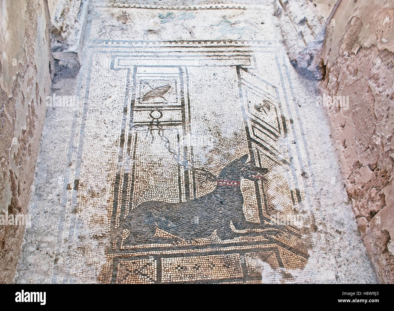 El mosaico de negro perro guardias la antigua casa romana Foto de stock