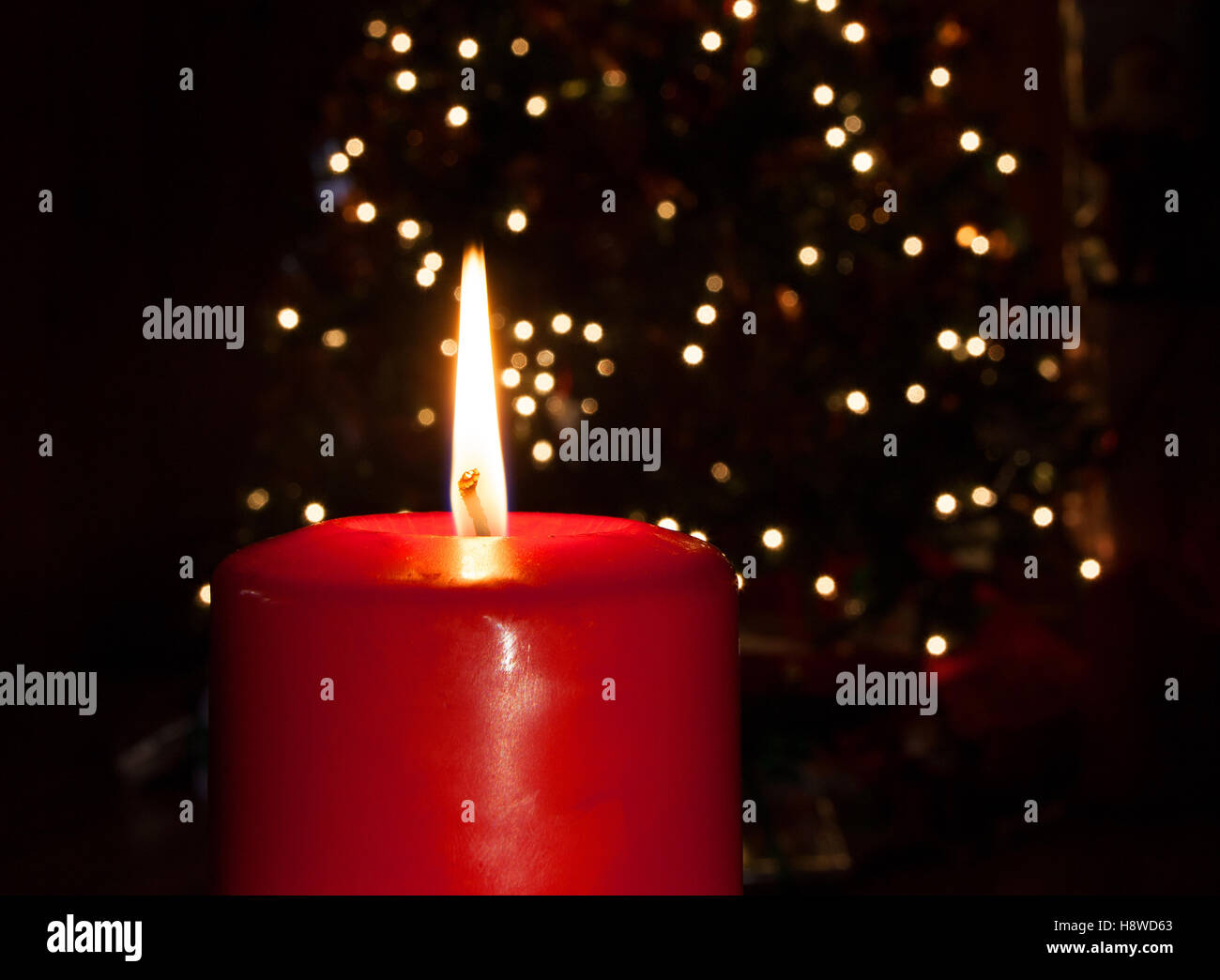 Velas de color rojo brillante en la parte delantera de un árbol de Navidad iluminado detrás Foto de stock