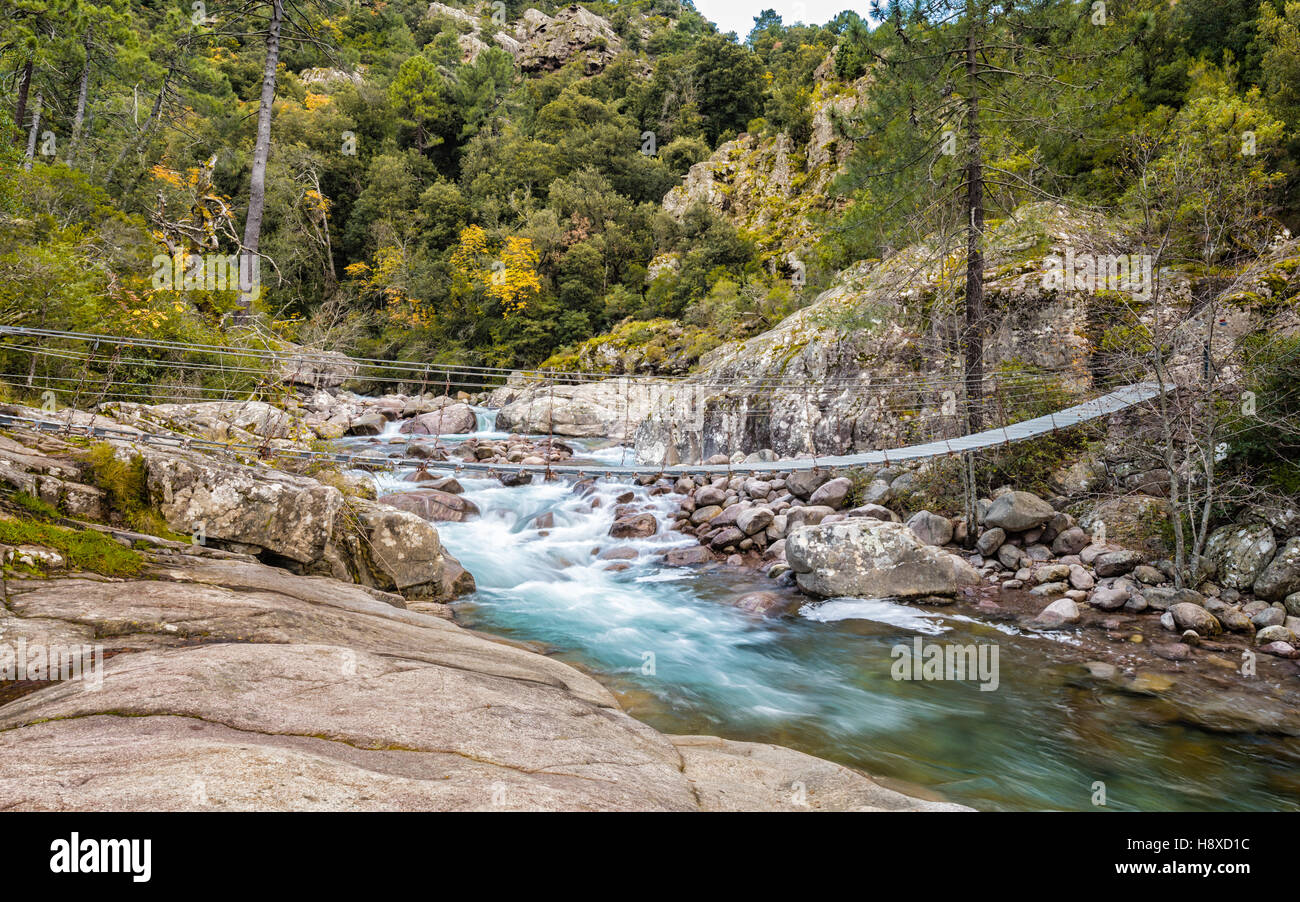 Puente peatonal de acero la cuerda a través de la cascada Río Figarella Bonifatu en el bosque cerca de Calvi en Córcega con pinos y rocas en la backgr Foto de stock
