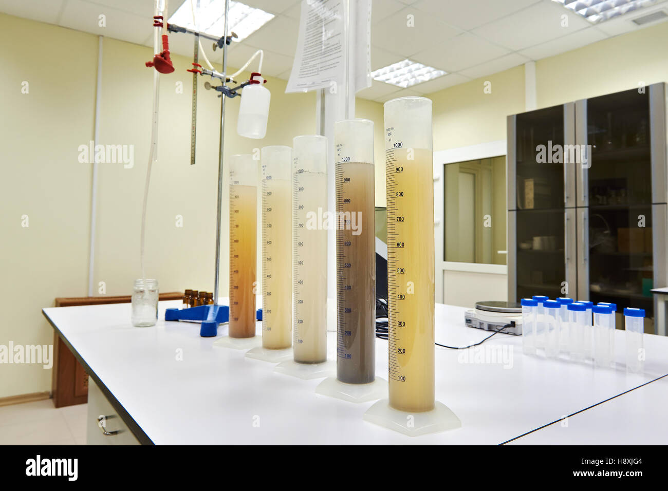 Medición de tubos de ensayo con líquidos de diferentes experiencias Foto de stock
