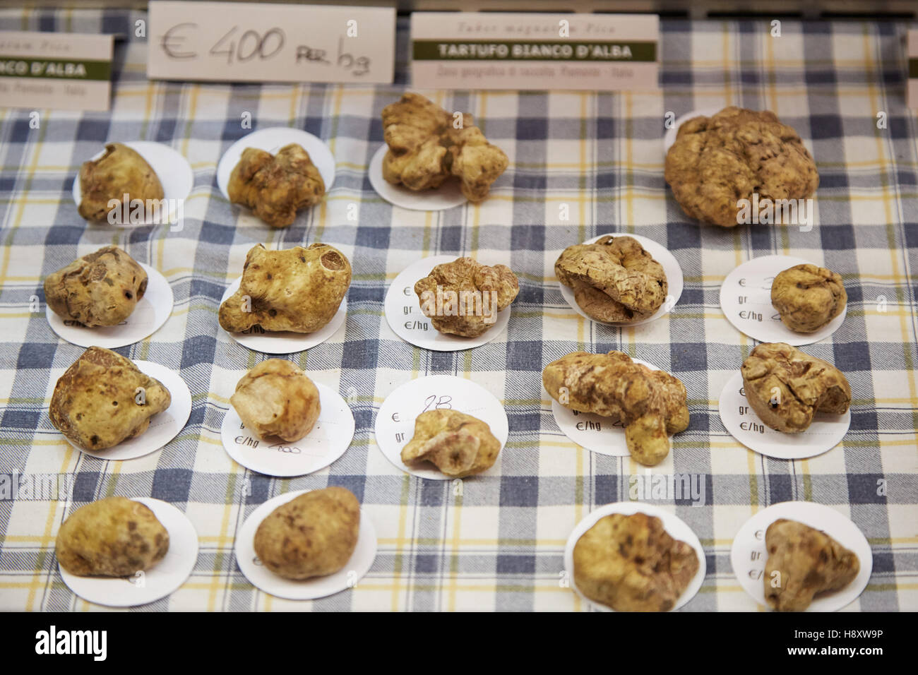 trufas-blancas-en-venta-durante-la-feria-de-la-trufa-blanca-de-alba-en-alba-italia-h8xw9p.jpg