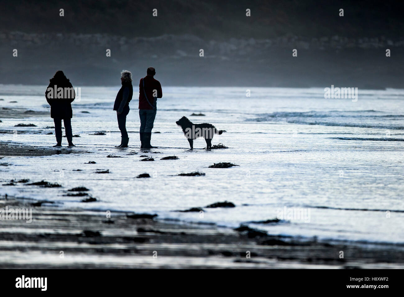 La silueta de tres personas y un perro tal como están en la playa Fistral en Newquay, Cornwall. Foto de stock