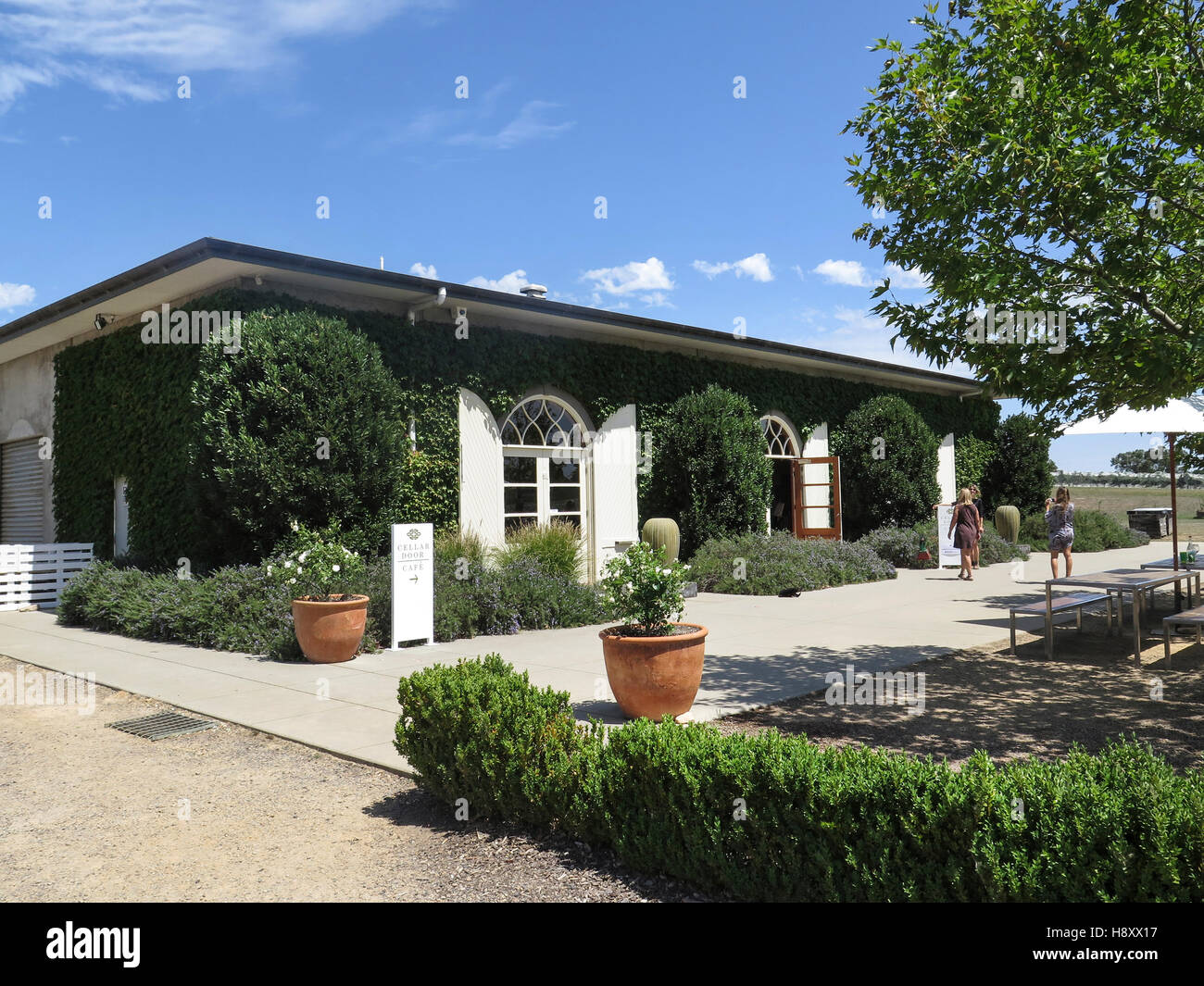 Dominique Portet bodega en el valle de Yarra, Victoria, Australia Foto de stock