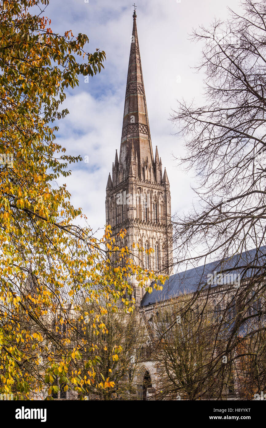 La catedral de Salisbury, en Wiltshire, Inglaterra. Foto de stock