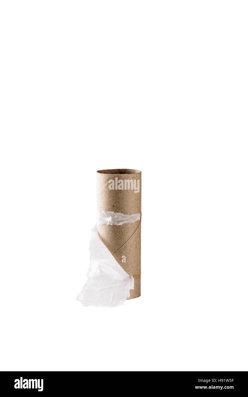 Solo vacío tubo de rollo de papel higiénico. Foto de stock