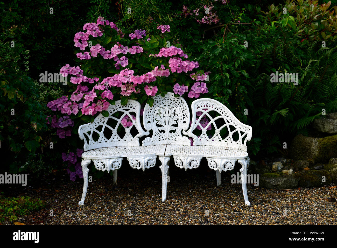 Hierro forjado blanco lutyens banqueta rosa asientos rhododendron flores jardín de flores jardinería Floral RM Foto de stock