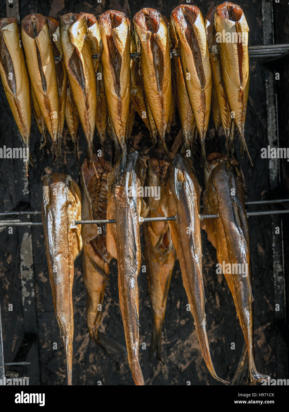 Fresh Marine pescado de smokehouse Foto de stock