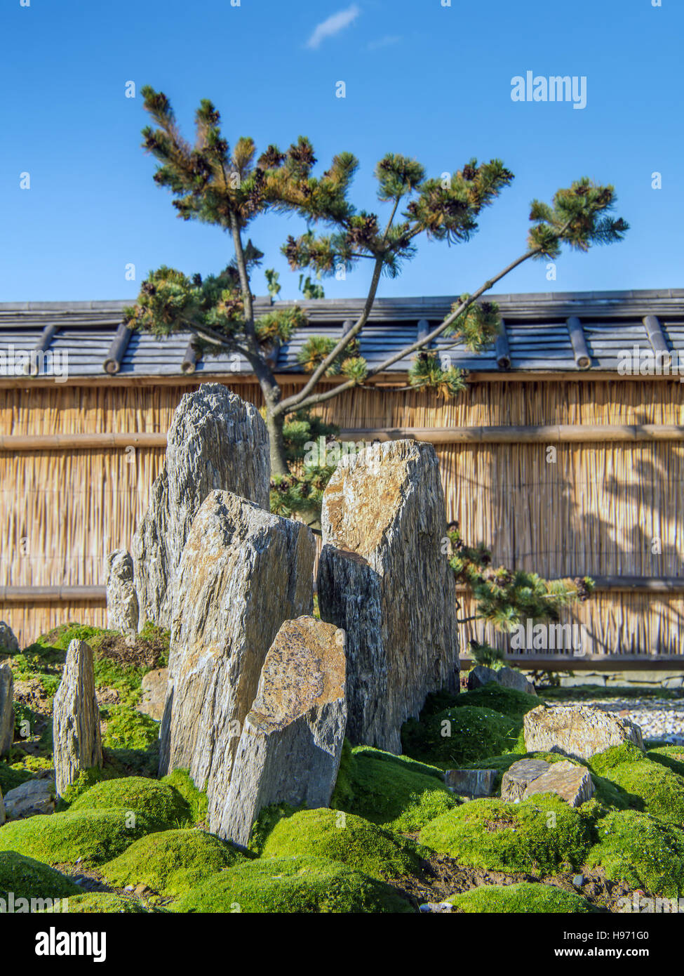 Típico jardín japonés de rock contra la valla de bambú Foto de stock
