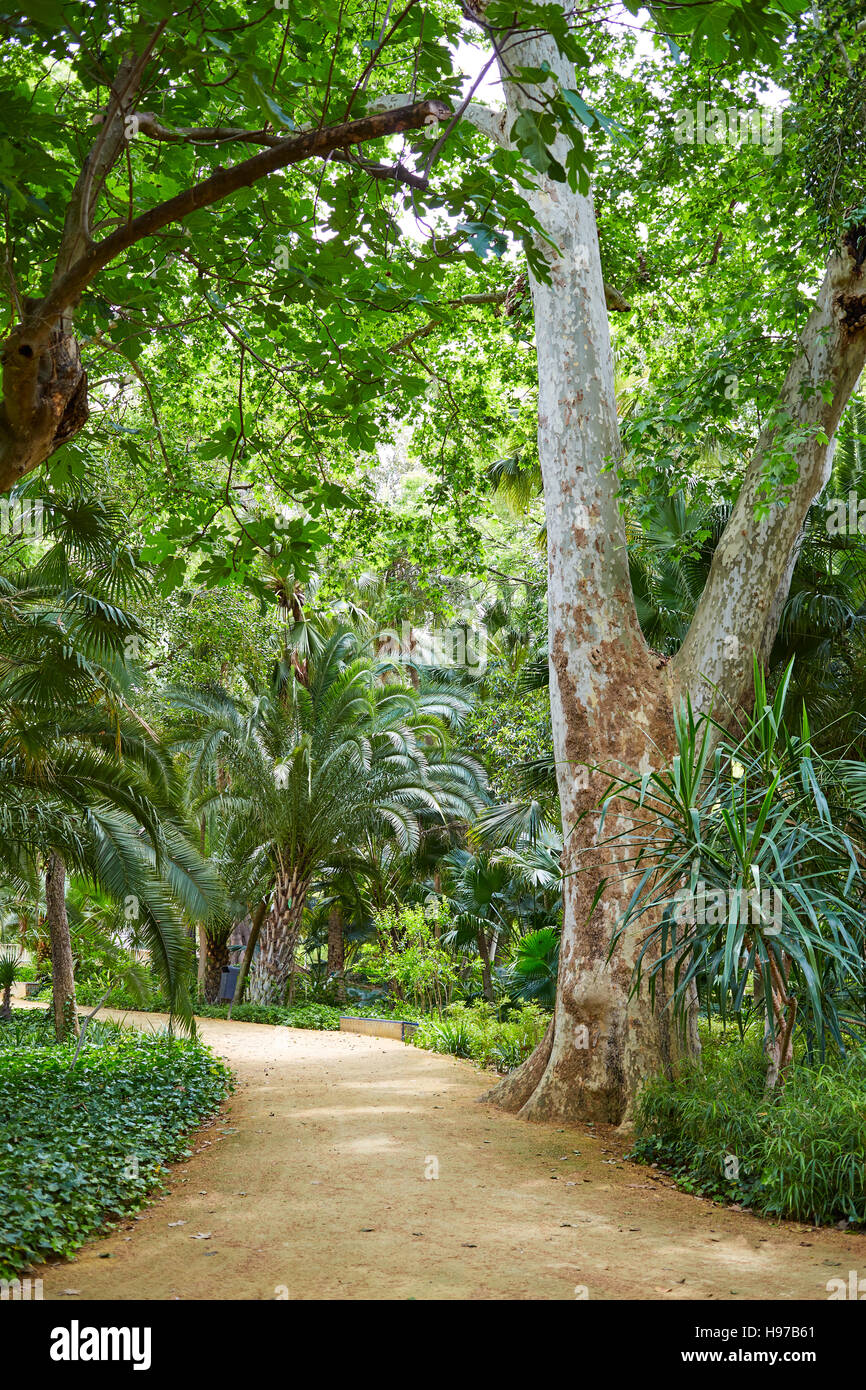 Sevilla Parque de María Luisa, Jardines de Andalucia España Foto de stock