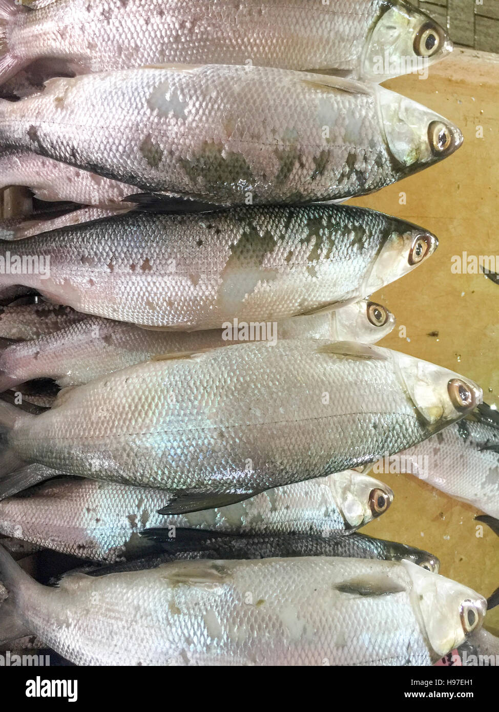 Cerca De Leche Mish O Local Llamado Ikan Bolu O Bahulu En Exhibicion En El Mercado De Pescado Fotografia De Stock Alamy