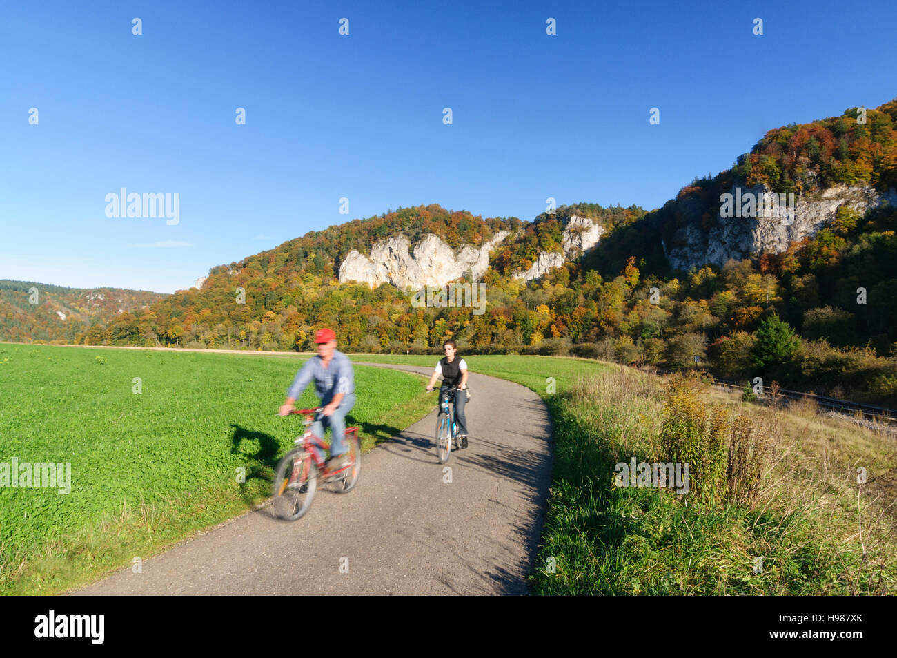 Mühlheim an der Donau: Danubio bicicleta de ruta en el Parque Natural alto Danubio, Schwäbische Alb, Suabia, Baden-Württemberg, Alemania Foto de stock