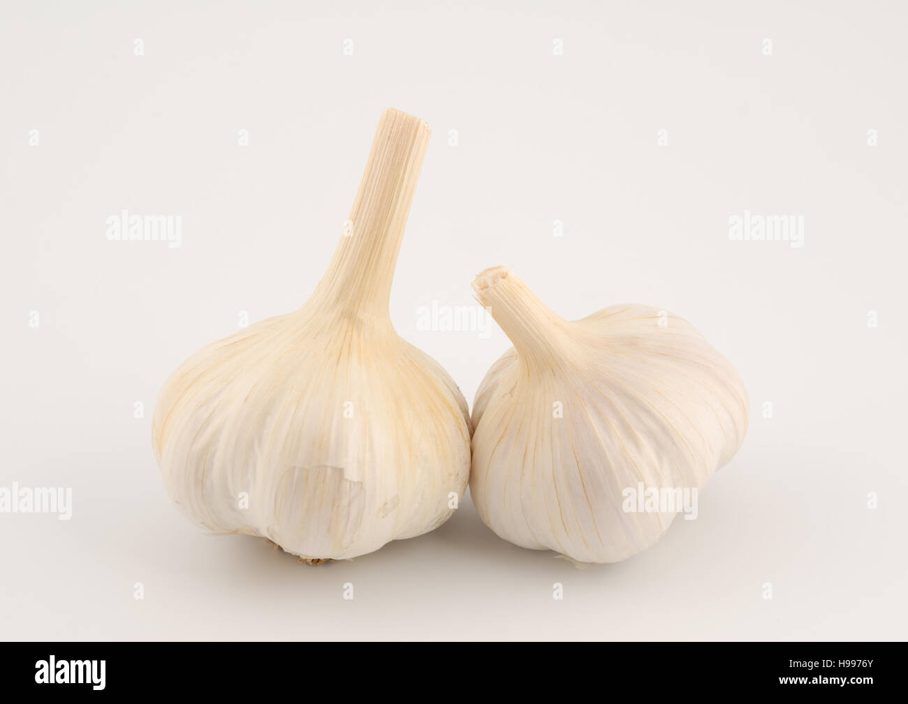 Cabeza de ajo aislado sobre un fondo blanco Fotografía de stock Alamy