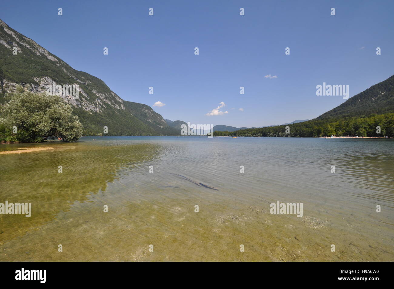 Las aguas poco profundas del lago de Bohinj, Eslovenia Foto de stock