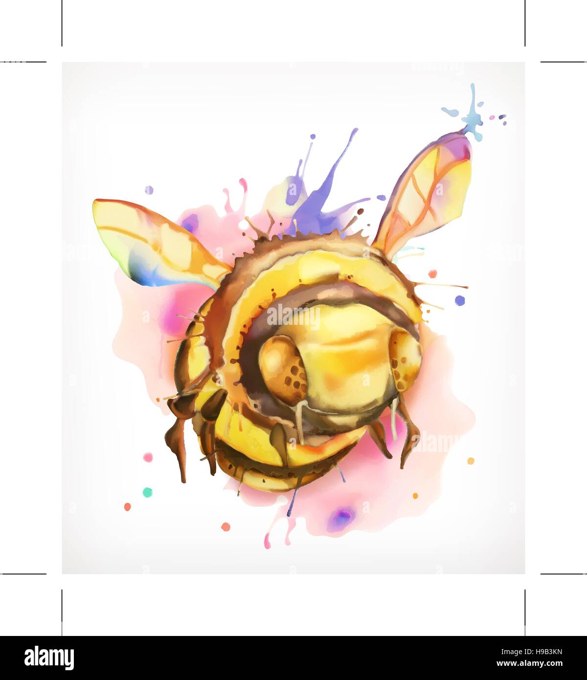 La pintura con acuarela, la abeja miel, vectorial, aislado en blanco Imagen Vector de stock - Alamy