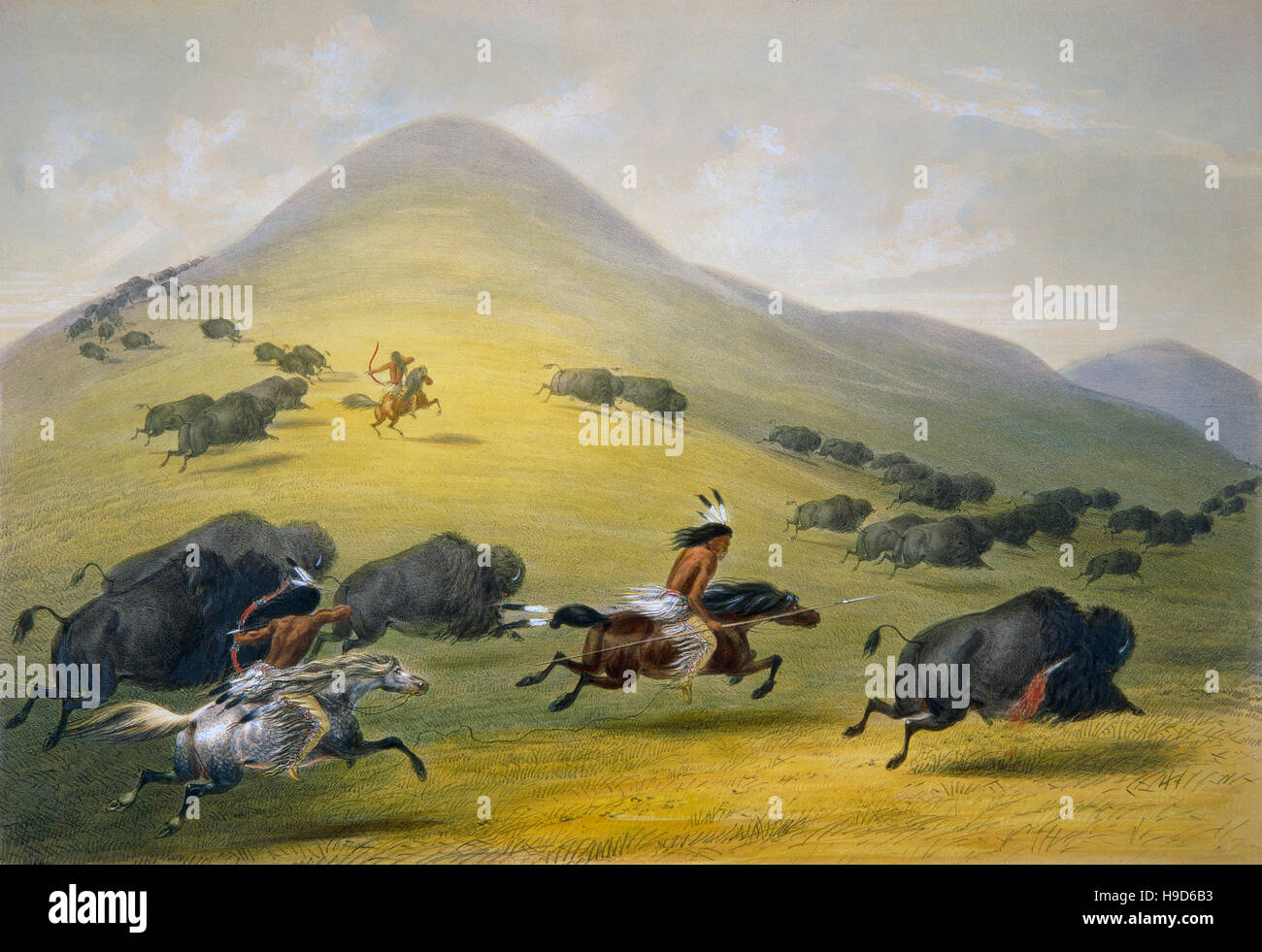 Buffalo Hunt Catlin Fotos e Imágenes de stock Alamy