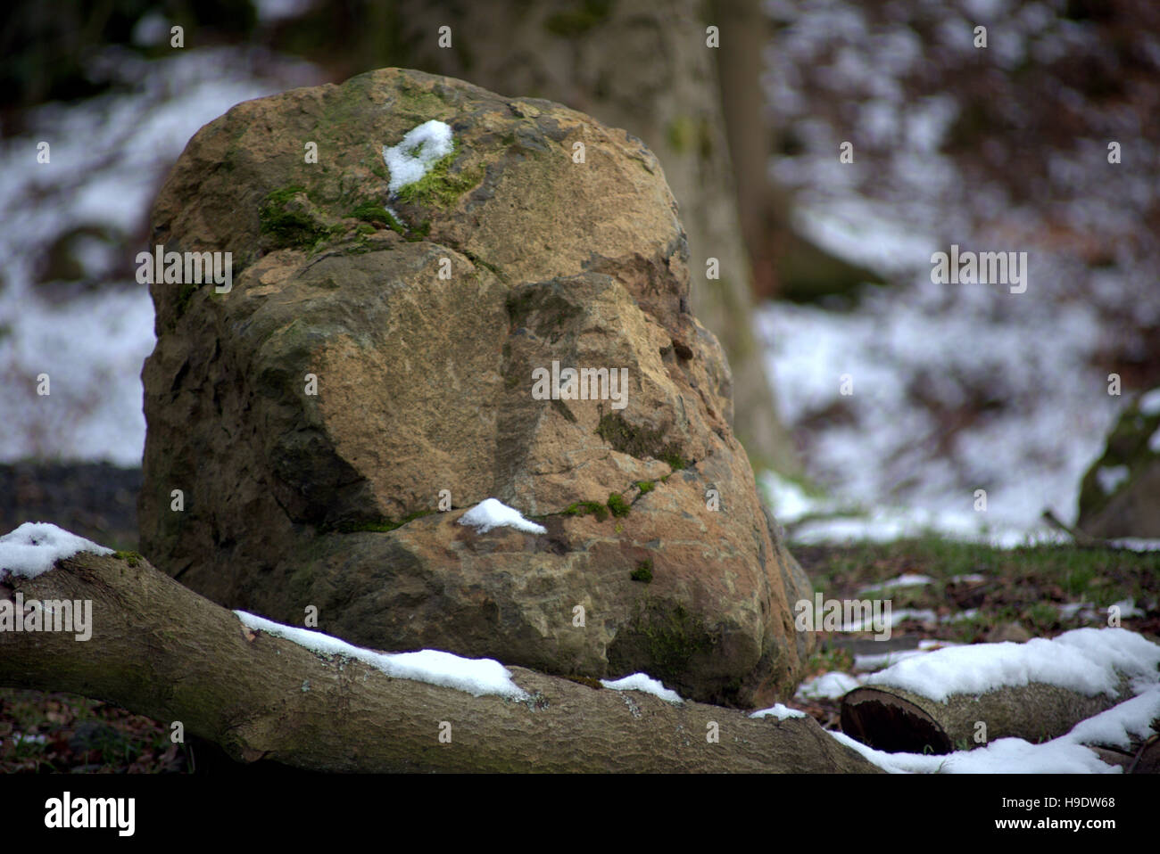 Roca que es natural y se asemeja a una cabeza de piedra o neolítico busto Foto de stock