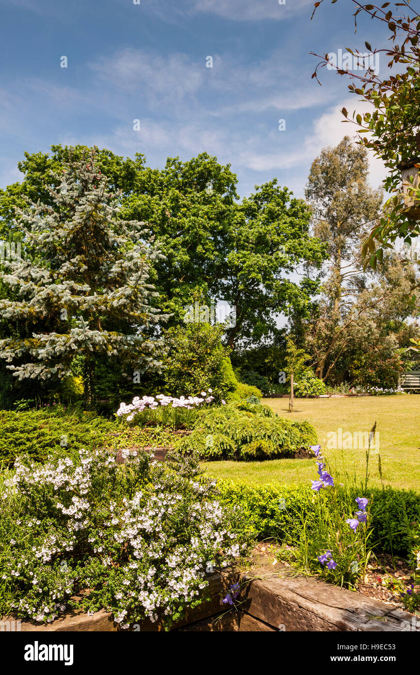 Un jardín maduro en Broome , Bungay , Suffolk , Inglaterra , Gran Bretaña , Reino Unido Foto de stock