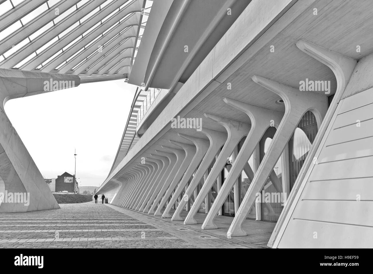 Lieja, Bélgica - Diciembre 2014: Vista sobre el nivel del suelo en la estación ferroviaria Liege-Guillemins, diseñado por Santiago Calatrava. Blanco y negro photogra Foto de stock