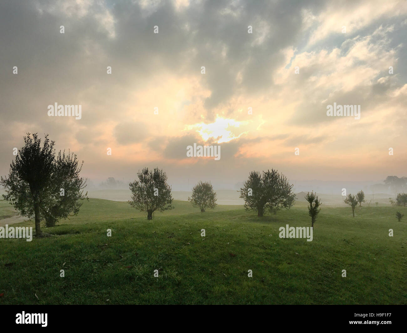 Un atardecer en un bello campo de golf en Italia Foto de stock