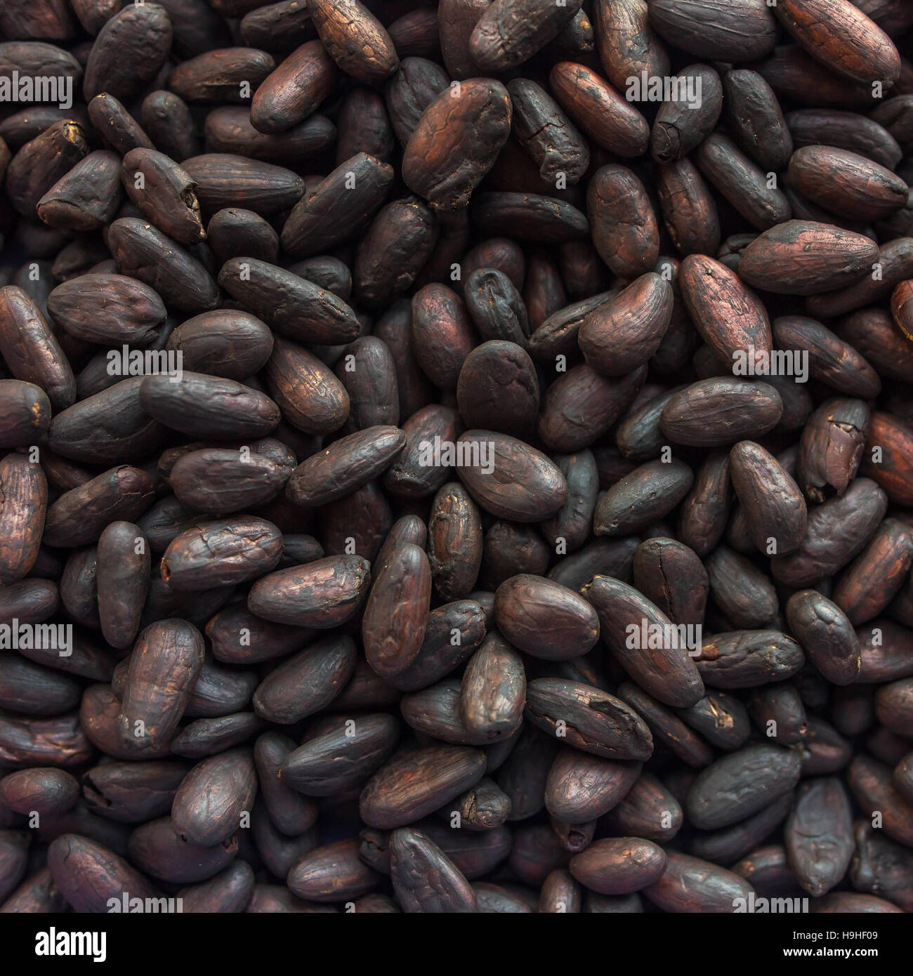 Cacao tostado fotografías e imágenes de alta resolución - Alamy