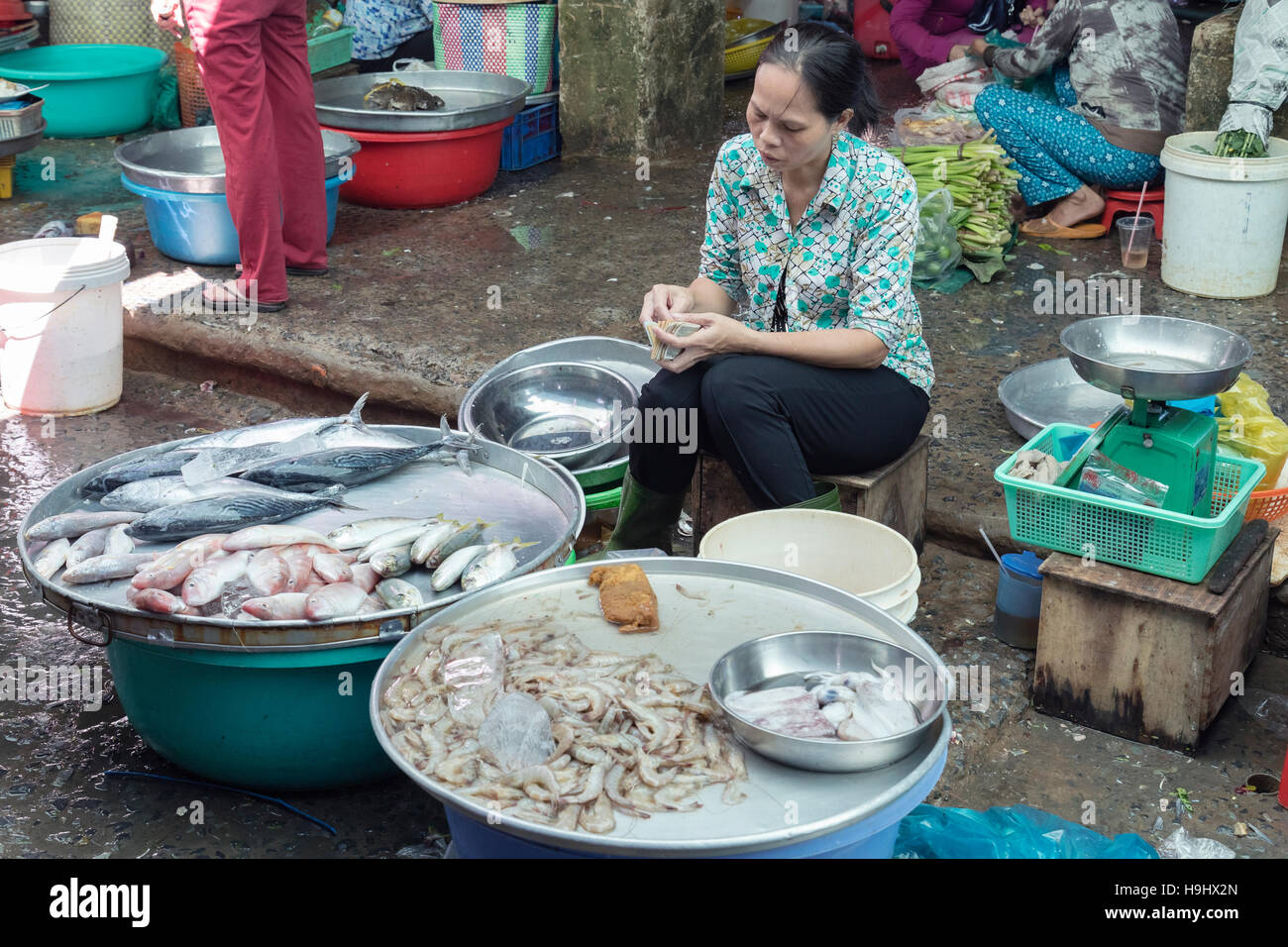 Mercado de pescado de Vinh Long, en el Delta del Mekong, Vietnam, Indochina, Asia Foto de stock