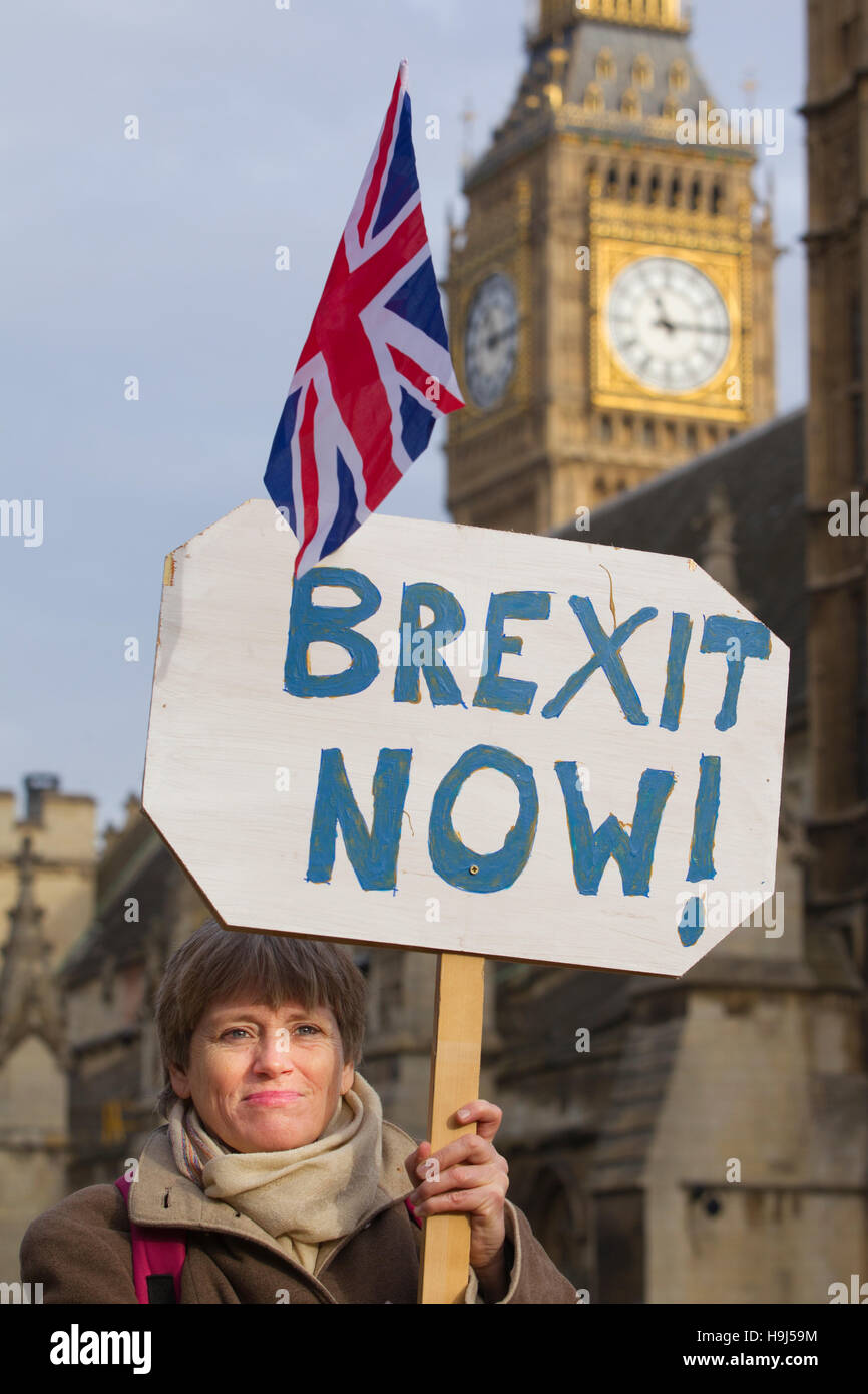 Pro Brexit partidarios escena una protesta frente al Parlamento pidiendo el Primer Ministro Teresa puede desencadenar el artículo 50, Londres, Reino Unido Foto de stock