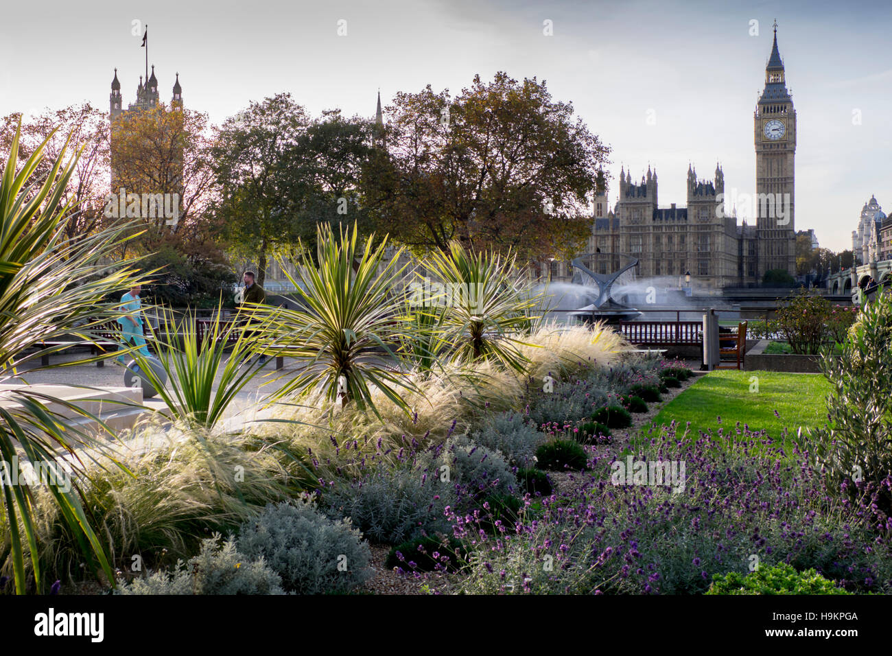 Reino Unido, Inglaterra, Londres, el Big Ben, jardín en St Thomas's Hospital Foto de stock