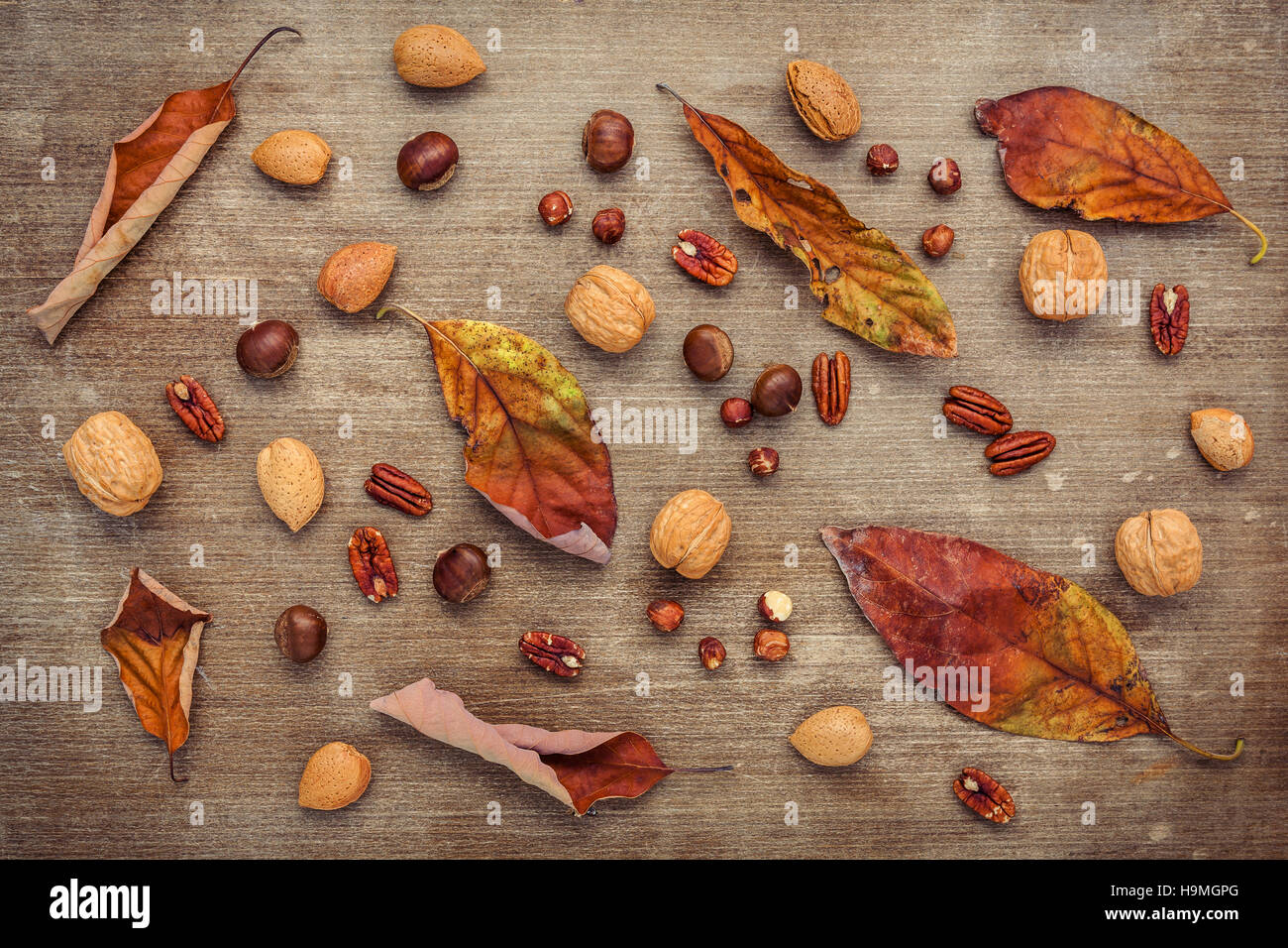 Diferentes tipos de nueces nueces granos ,avellanas, almendras kerne Foto de stock
