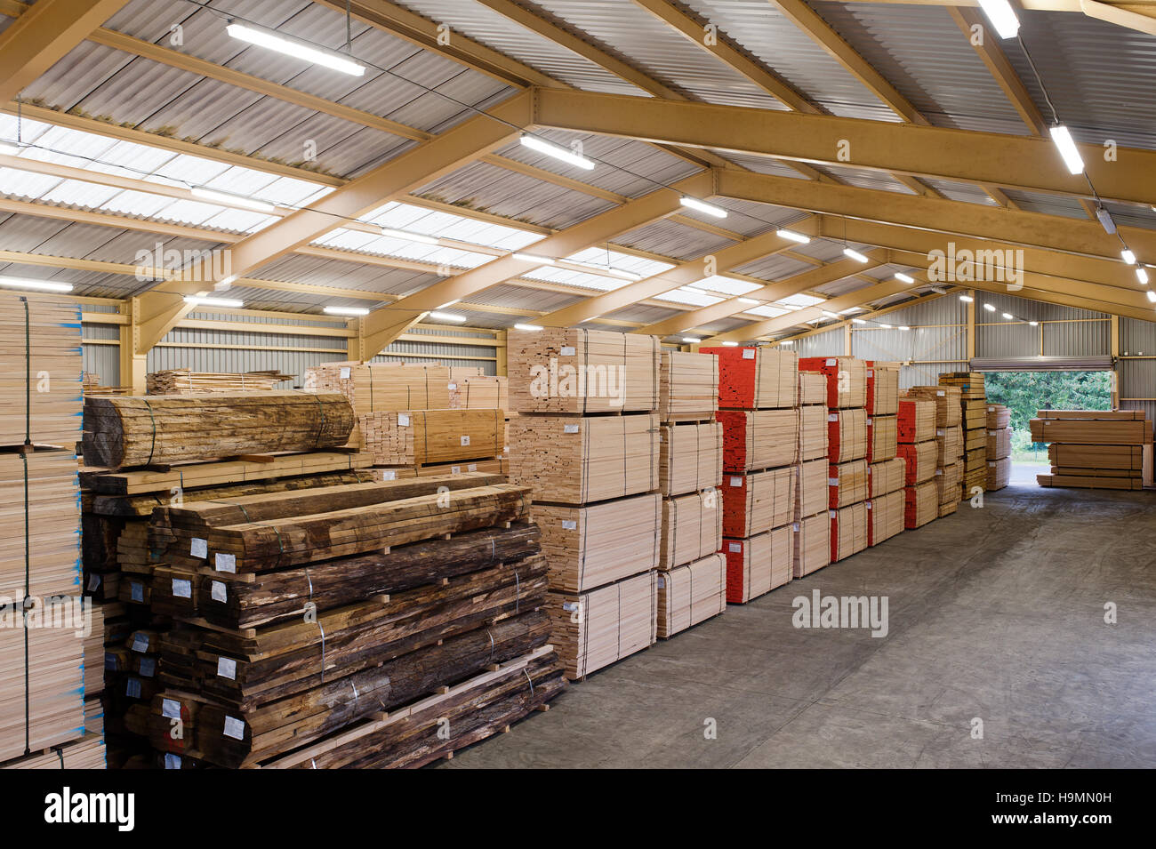 Almacén de madera en la planta de procesamiento de madera, Templin, distrito de Uckermark Brandenurg, Alemania. Foto de stock