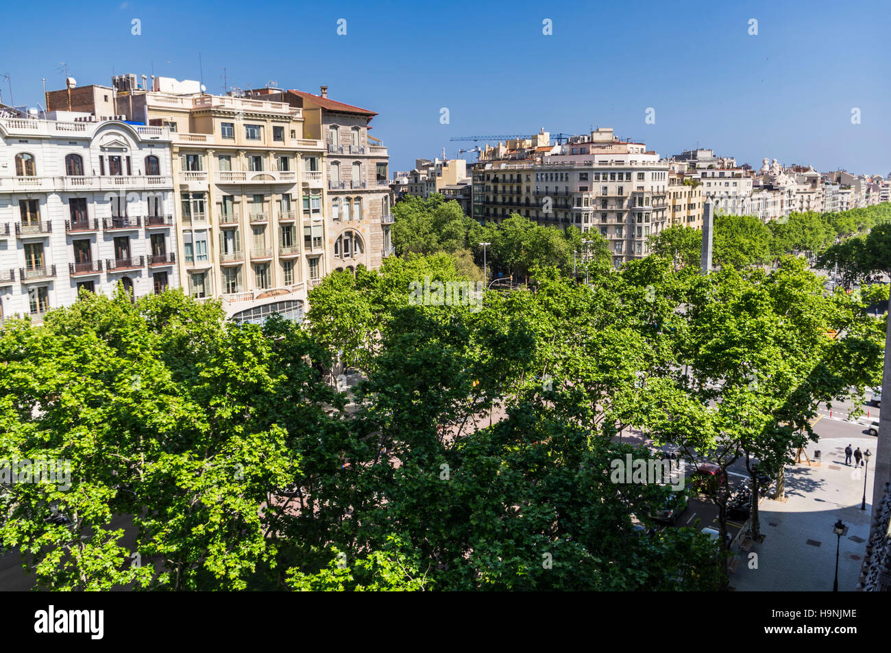 Callejón arbolada del Passeig de Gràcia, en Barcelona, Cataluña, España; visto desde arriba. Foto de stock
