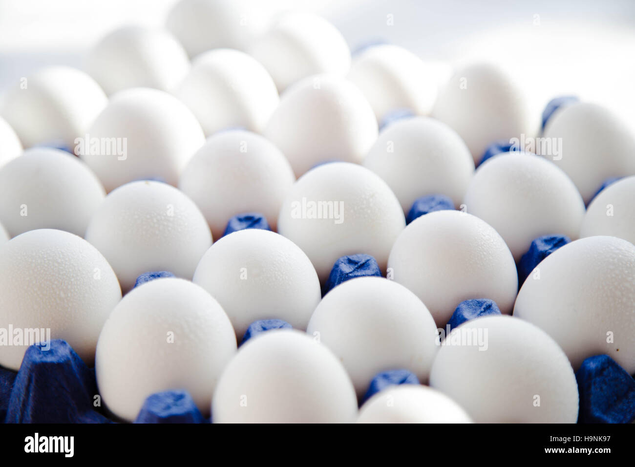 Huevos blancos en azul carrito Foto de stock