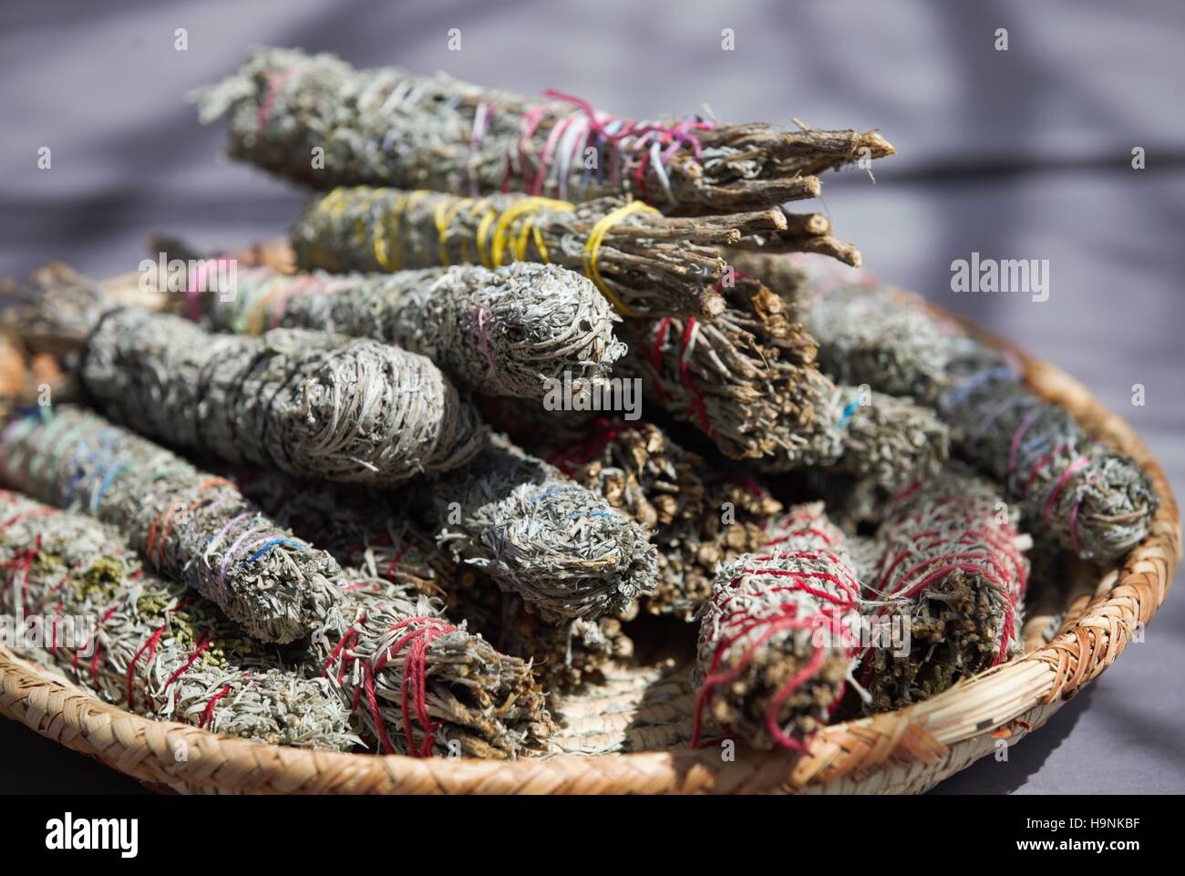 Blue Sage stick - medicina de hierbas nativas americanas Foto de stock