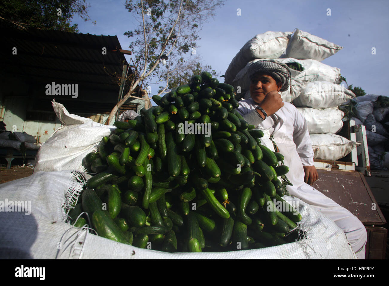 (161124) -- EL CAIRO, 24 de noviembre, 2016 (Xinhua) -- un vendedor espera a los clientes en el mercado Obour en El Cairo, capital de Egipto, el 19 de noviembre del 2016. Situado en las afueras al norte de El Cairo, Obour mayorista de frutas y hortalizas del mercado fue una vez el más transitado depot en Egipto, hasta que la recesión económica comenzó a golpear cada rincón de ella. (Xinhua/Ahmed Gomaa) Foto de stock