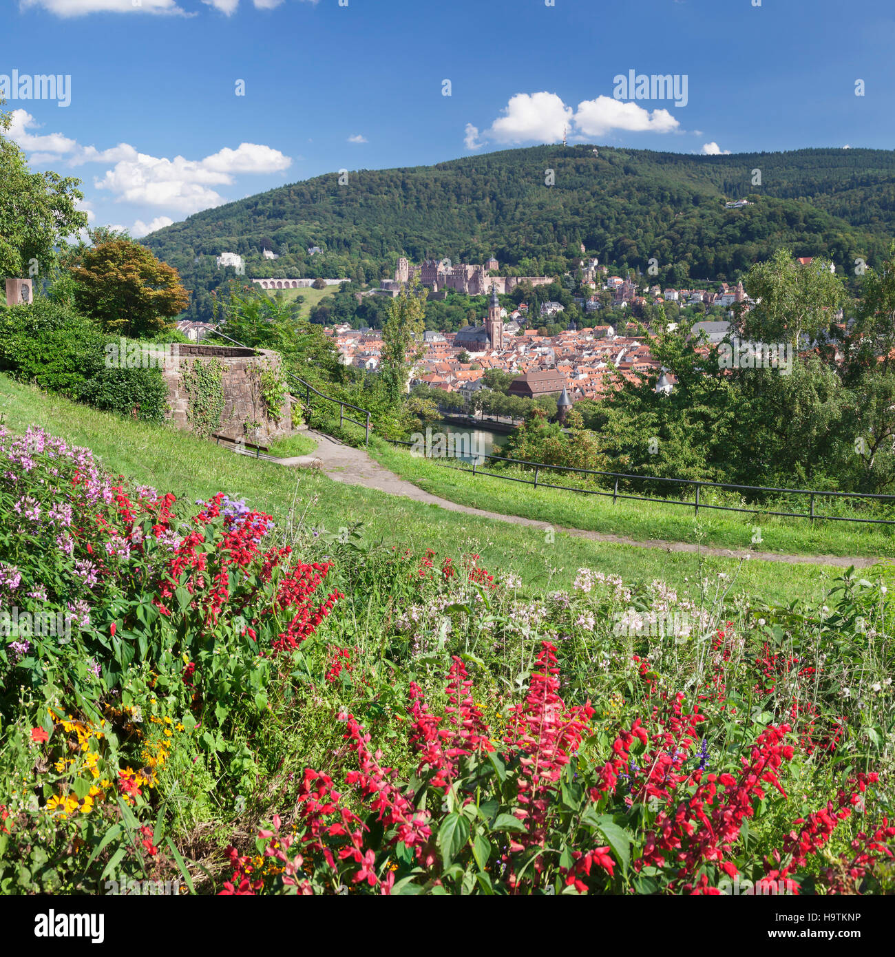 Vista al centro histórico de la ciudad y el castillo de Paseo del filósofo en Heidelberg, Baden-Württemberg, Alemania Foto de stock