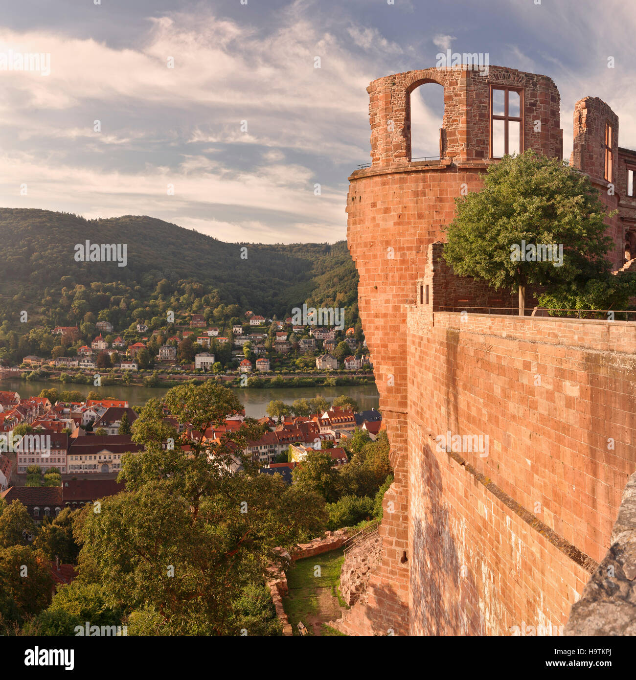 Vista desde el castillo sobre el río Neckar en Heidelberg, Baden-Württemberg, Alemania Foto de stock