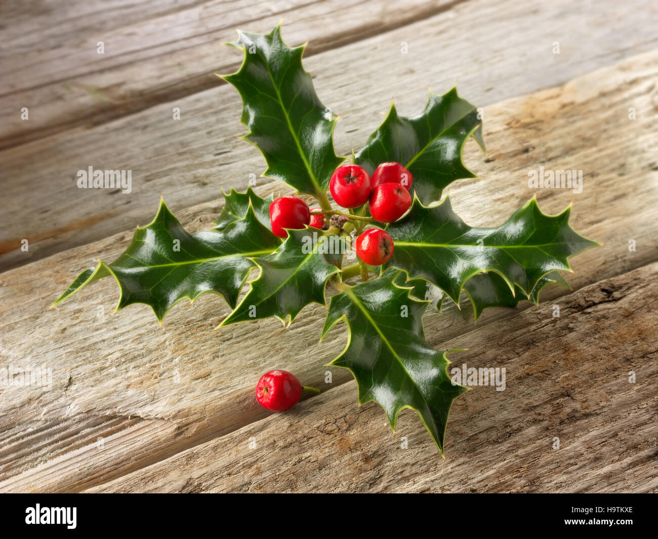 Acebos (Ilex), decoración de navidad con bayas rojas en madera Foto de stock