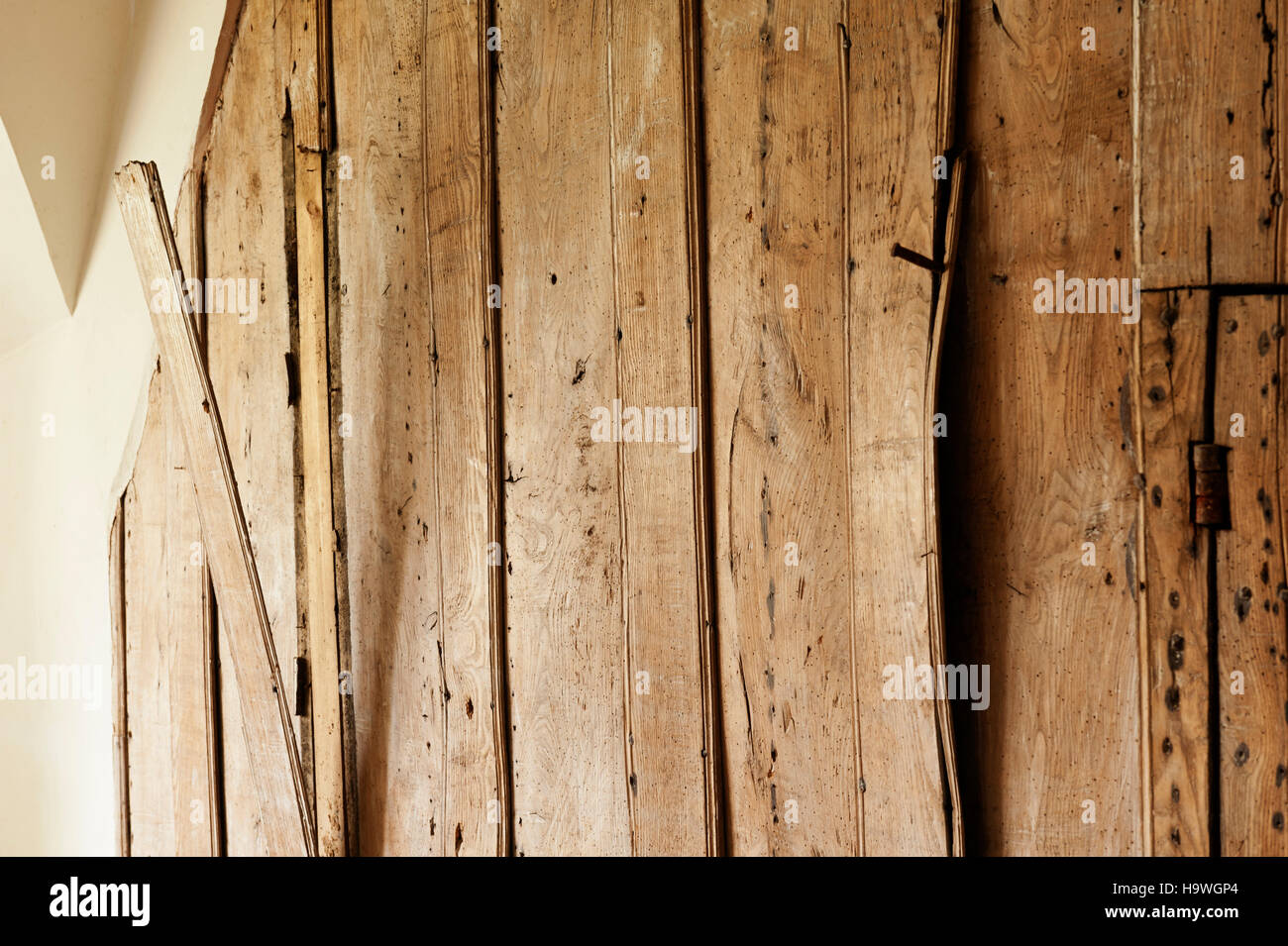 Qué es la chapa de madera? - Nuevo proyecto - Noticias - Global Timber  Products Ltd