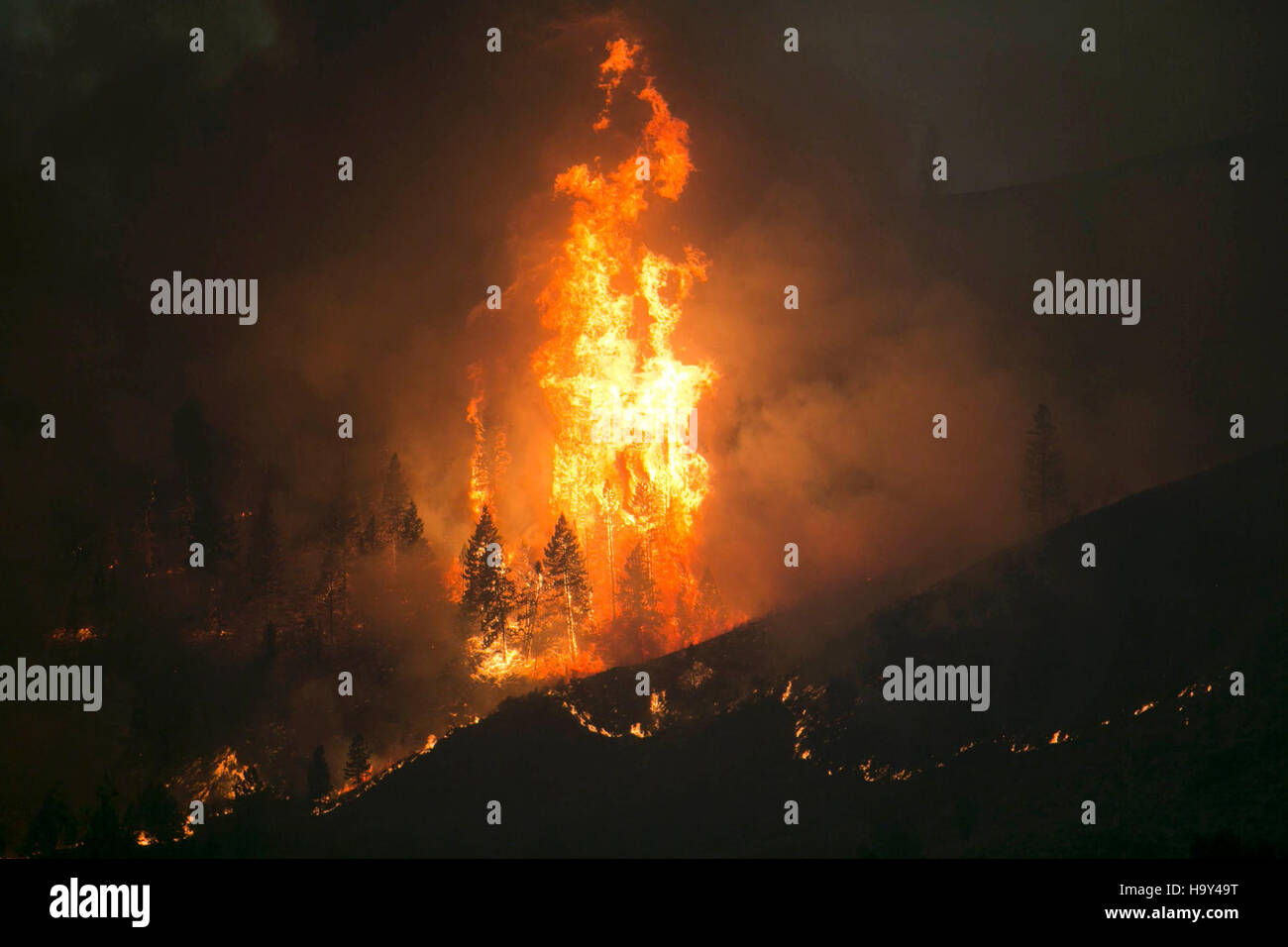 Elk complejo fuego Incendios Forestales Foto de stock