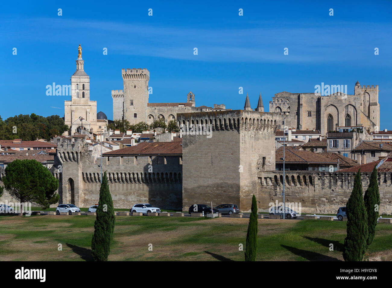 Las murallas de la ciudad, la Catedral de Avignon y el Palais des Papes de la ciudad de Avignon, en el sudeste de Francia. Foto de stock