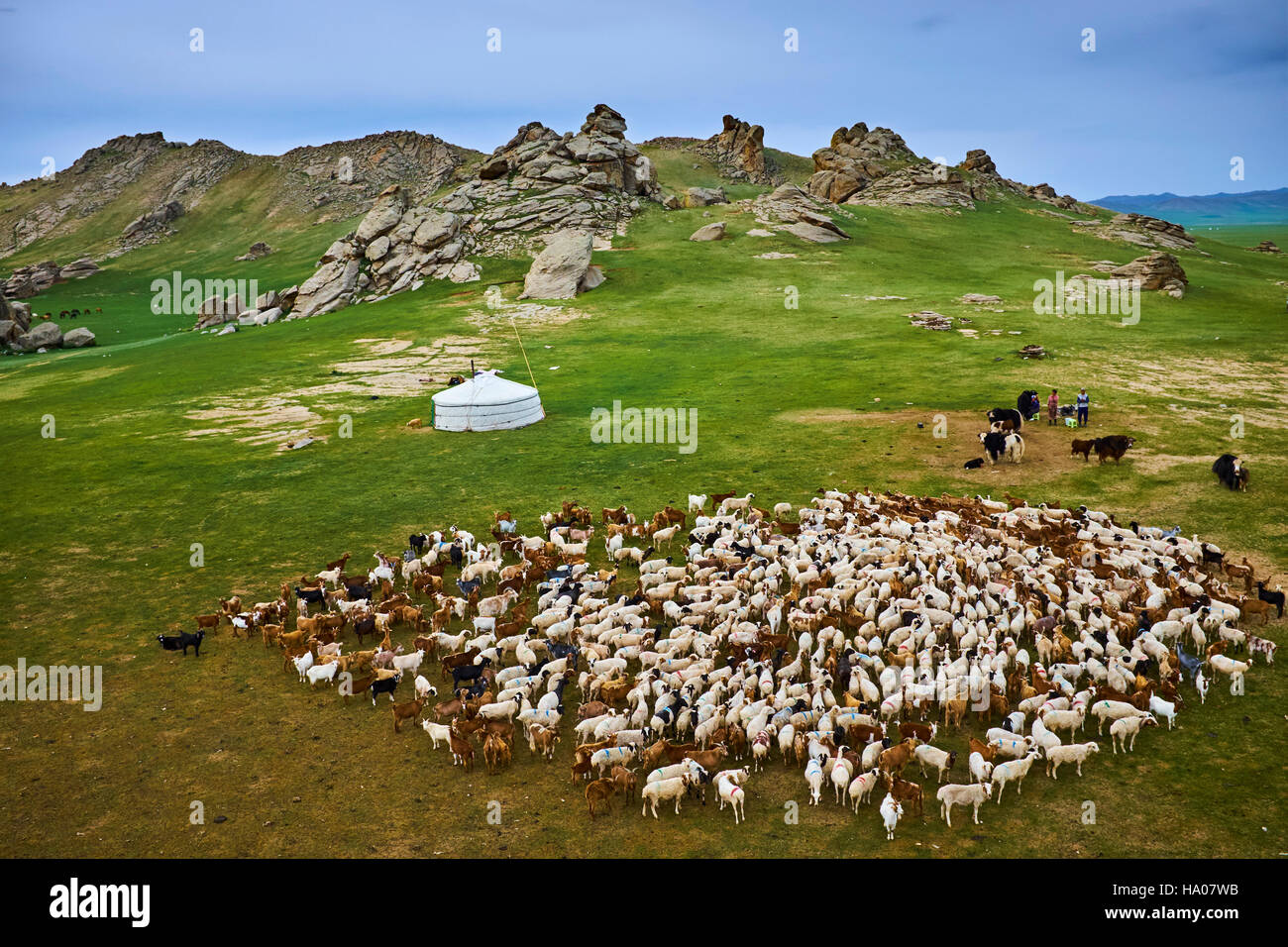 Mongolia, provincia de Bayankhongor, campamento nómada Foto de stock