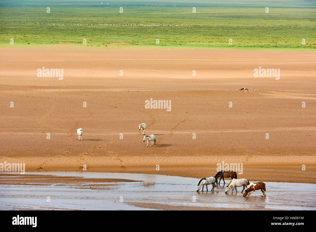 Mongolia, provincia de Zavkhan, paisaje desierto de dunas de arena en la estepa Foto de stock