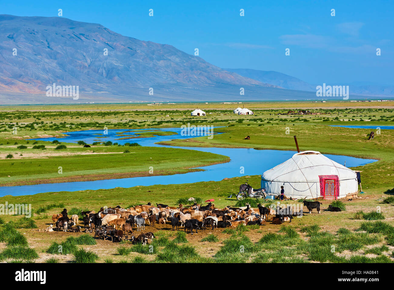 Mongolia, Bayan-Ulgii provincia, oeste de Mongolia, campamento nómada del pueblo kazajo en la estepa Foto de stock