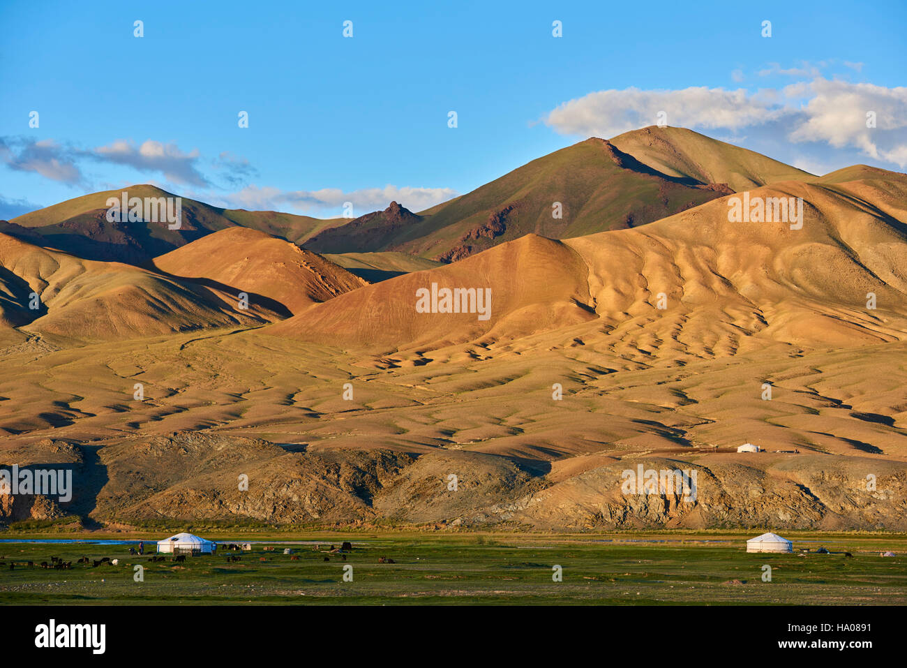 Mongolia, Bayan-Ulgii provincia, oeste de Mongolia, el color de las montañas de Altay, campamento nómada del pueblo kazajo Foto de stock
