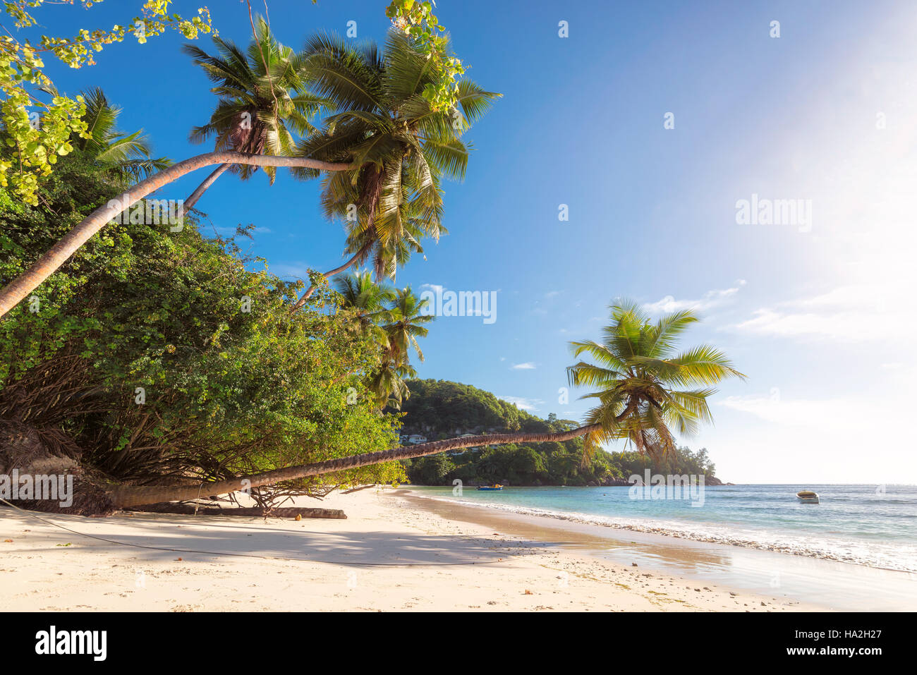 Puesta de sol en la hermosa playa de isla tropical Foto de stock