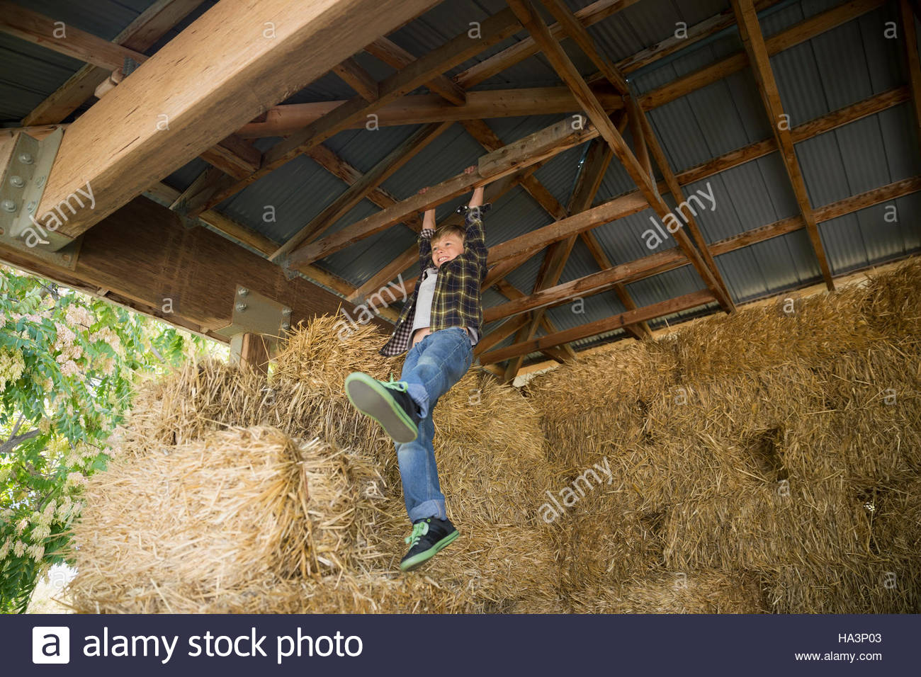 Chico colgando de viga, en el granero de heno Foto de stock